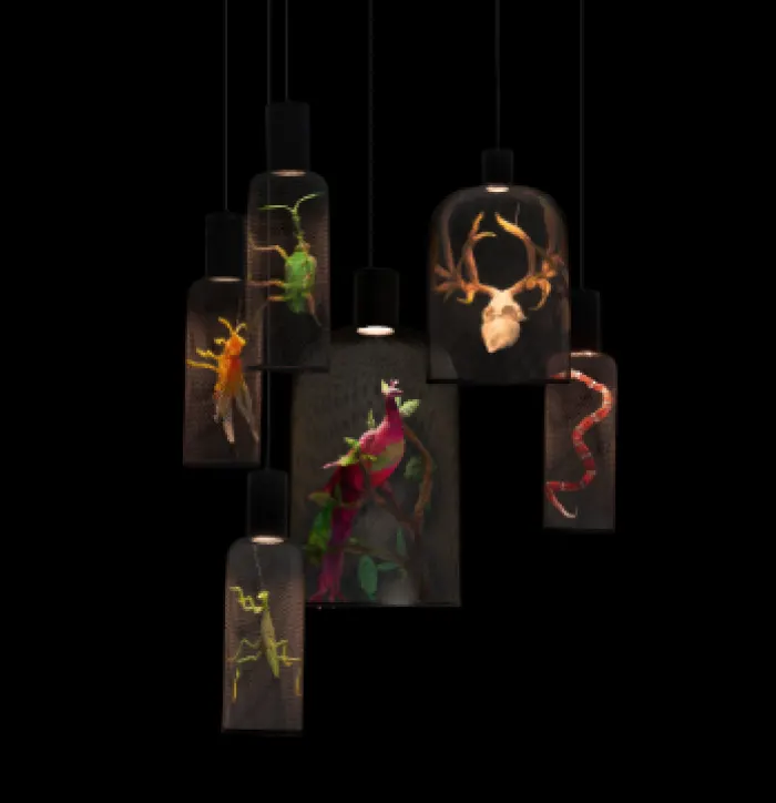 CURIO Hanging Lamp