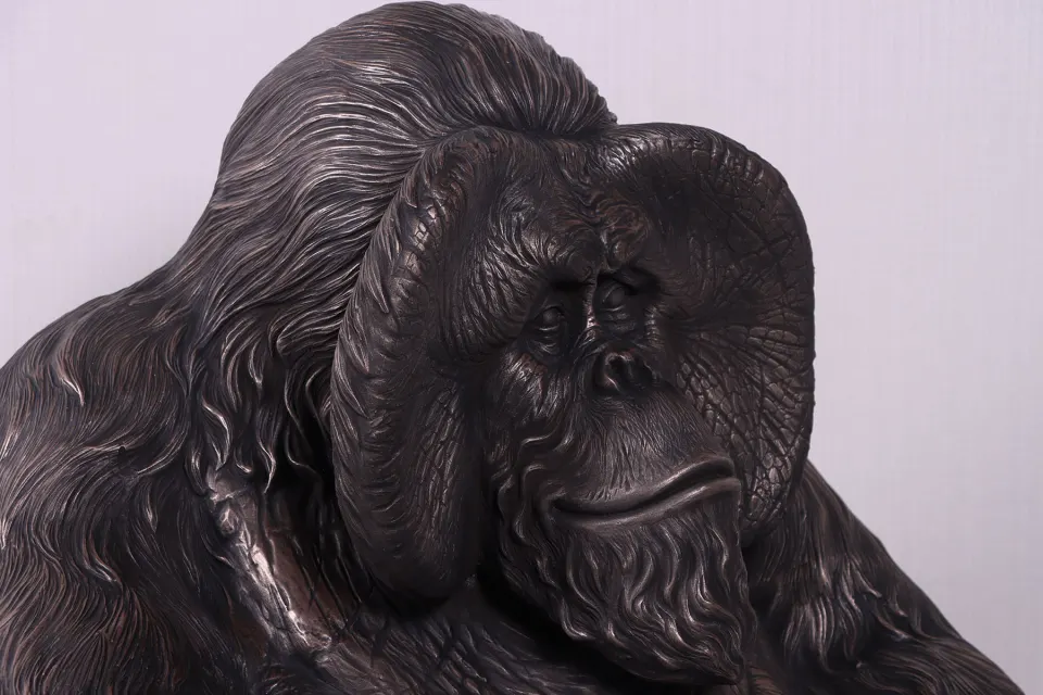 Sitting urangutan, image 5