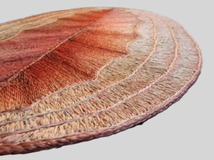 BE Rug , image 7