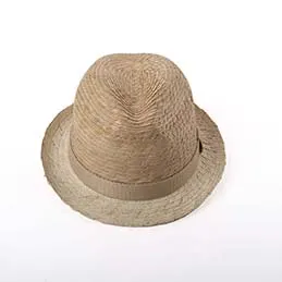 HAT (S-2782), image 1