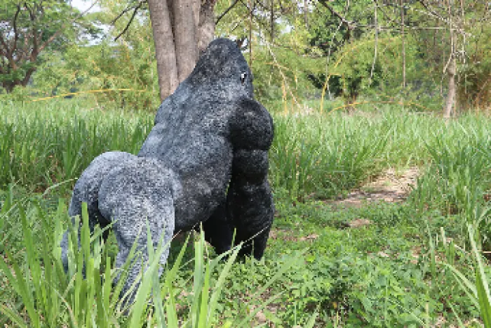 Larger then life Gorilla, image 4