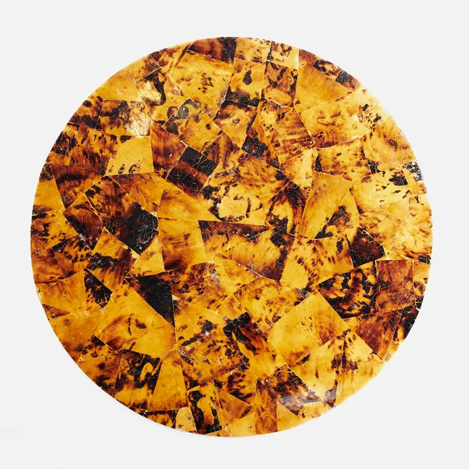 Tortoise Placemat, image 1