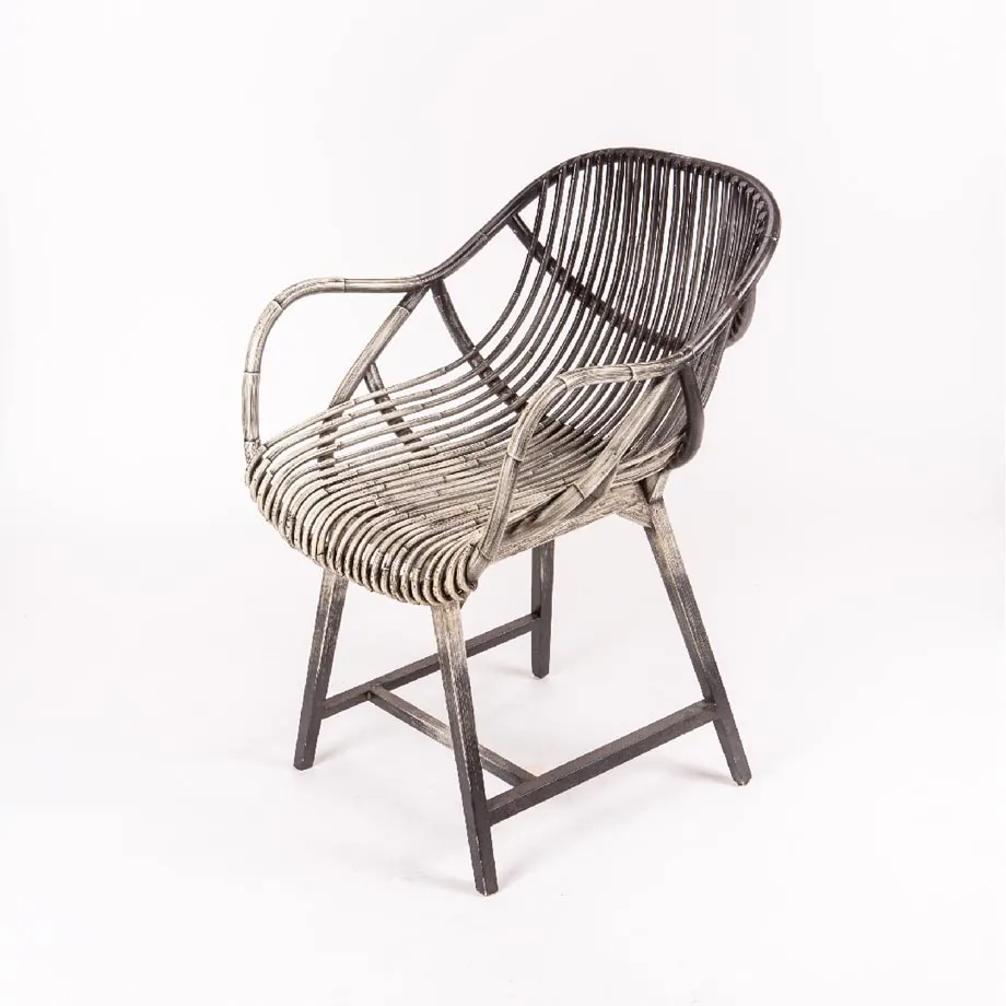Palo Arm Chair, image 1