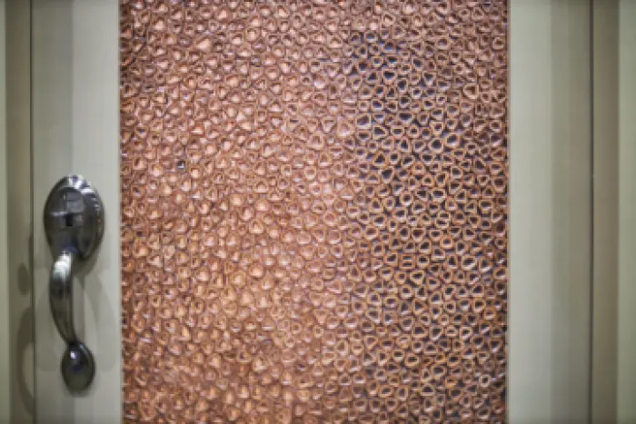 CONGO (Doors), image 1