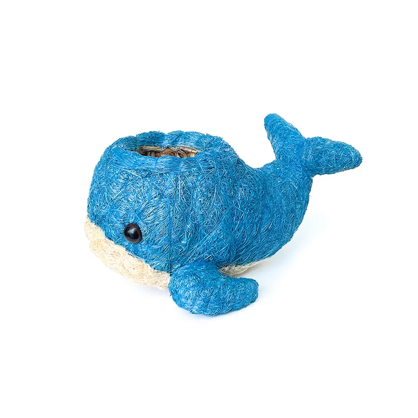 Chibi Blue Whale, image 3