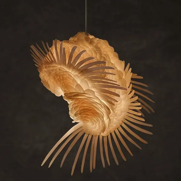 Kai’a Hanging lamp, image 3