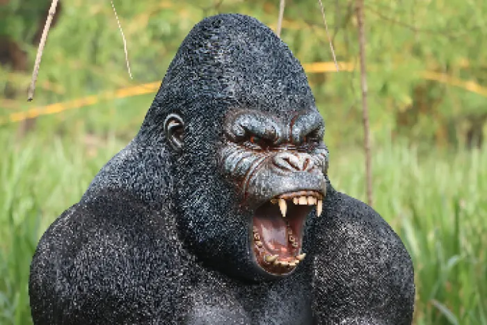 Larger then life Gorilla, image 2
