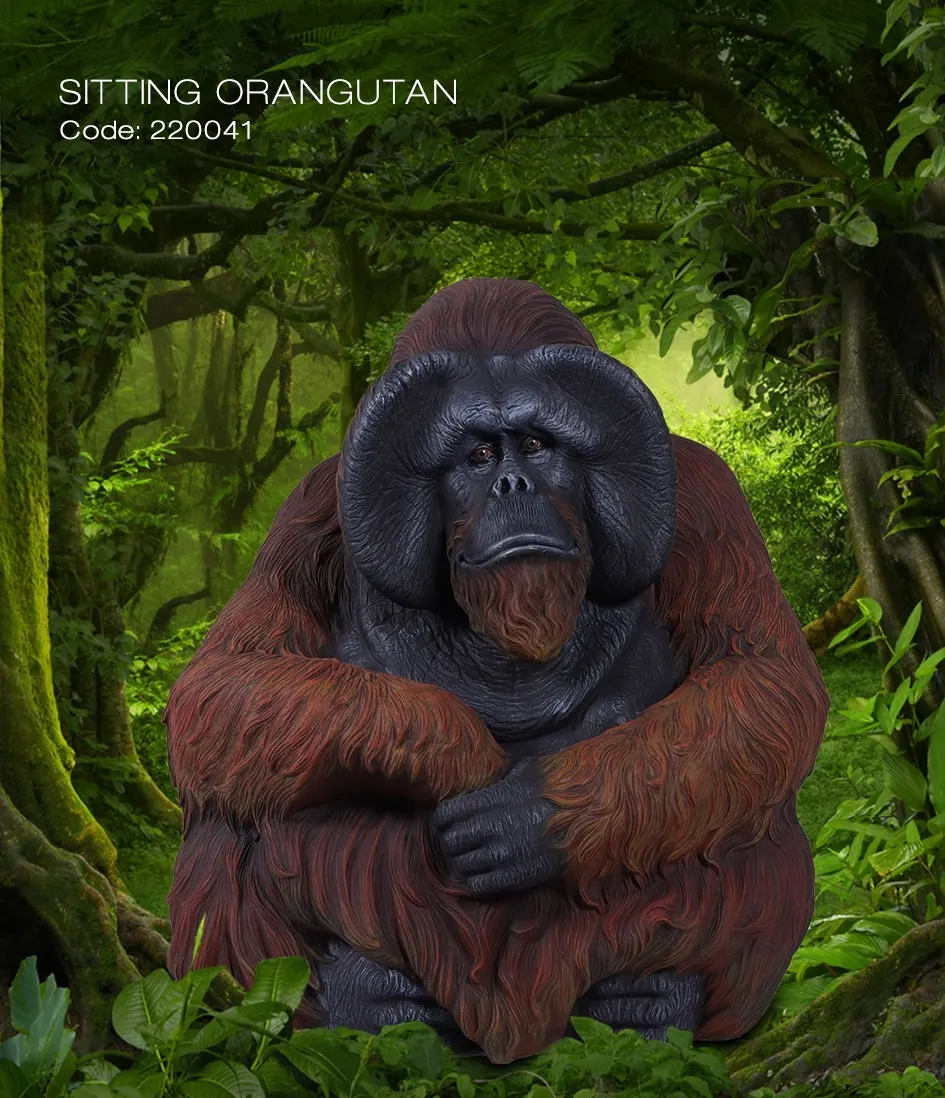 Sitting urangutan, image 1