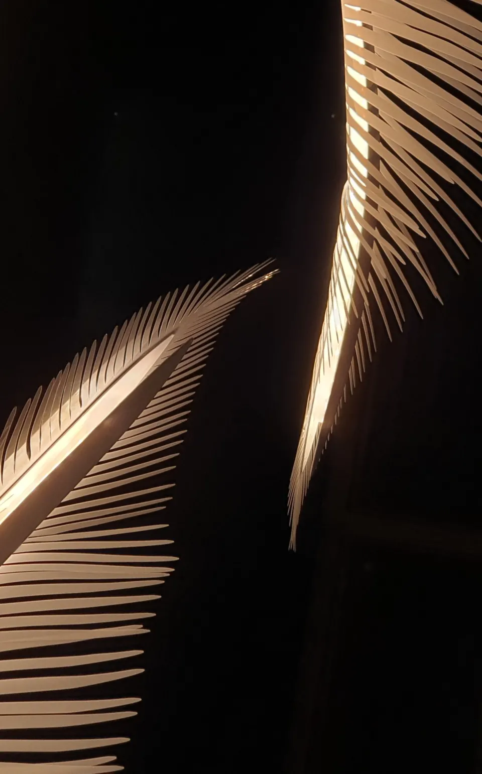 Sylvia Chandelier, image 4