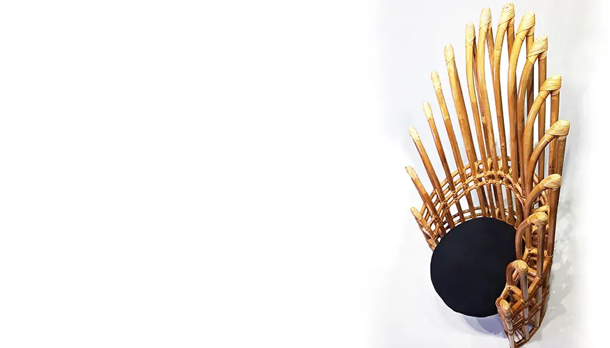 Pabo (Peacock) Accent chair, image 3