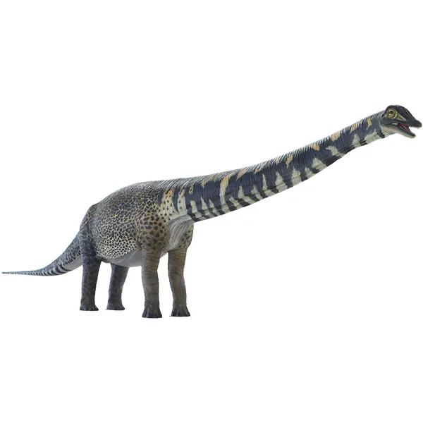 The Australotiton - Our Biggest Dino ever, image 5