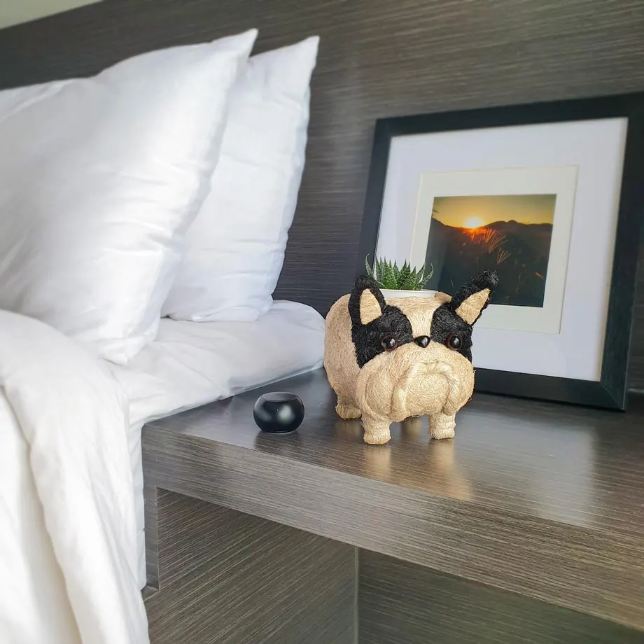 Chibi Frenchie, image 4