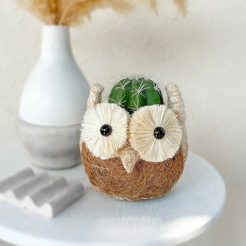 Chibi Owl, image 4