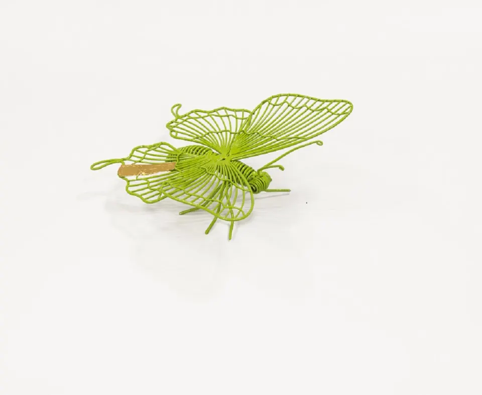 Butterfly with Tail, image 1