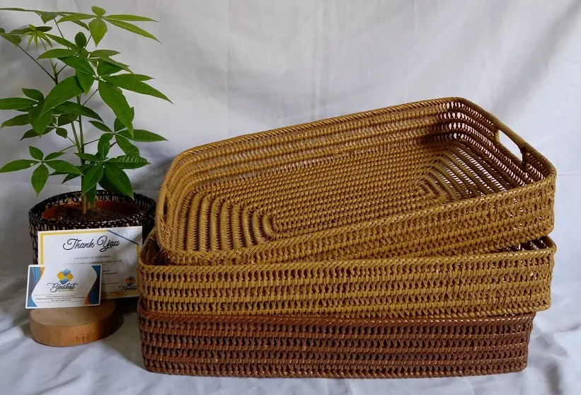 Food Tray