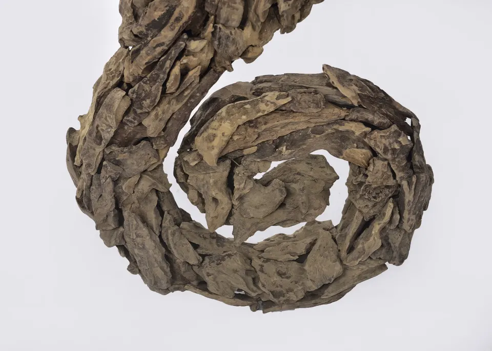 Driftwood Sea Horse, image 2