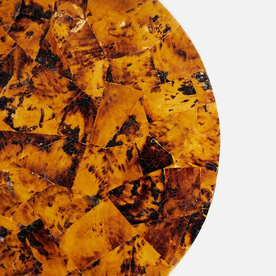Tortoise Placemat, image 2