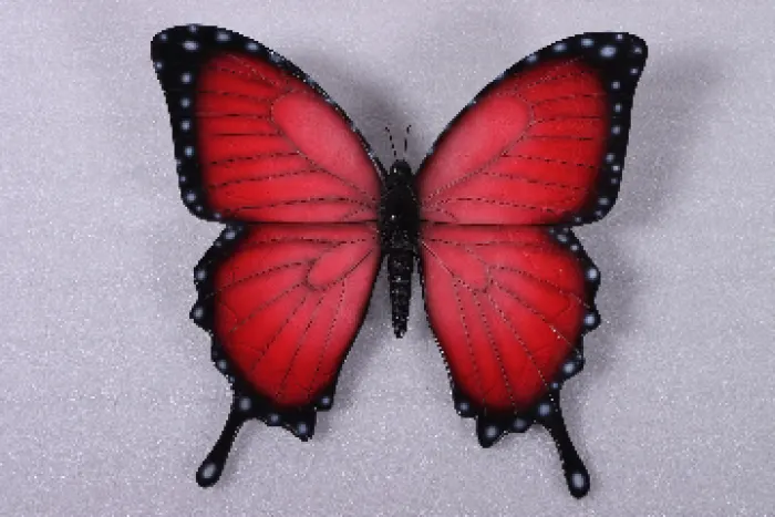 butterfly red, image 4