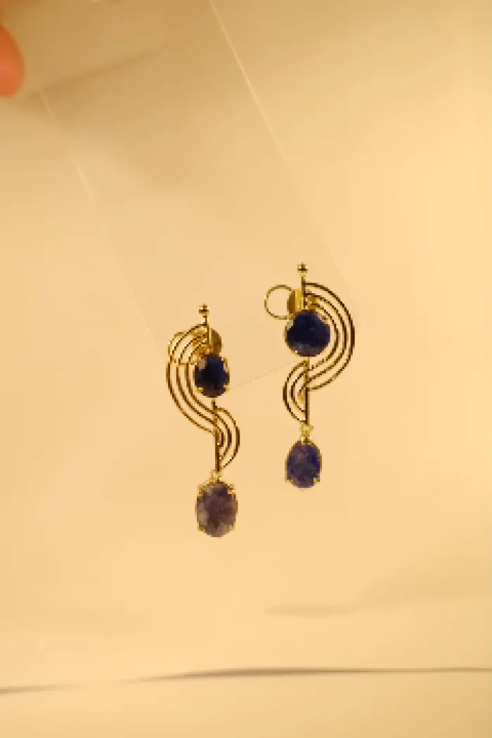 Earrings 3