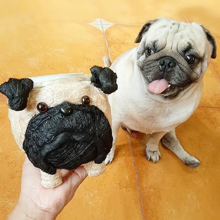 Chibi Pug, image 4