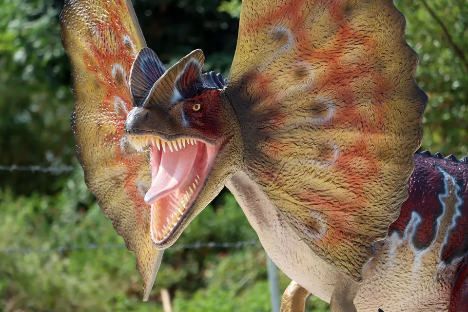 Dinosaur Giant Australovenator, image 4