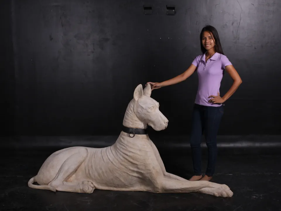 Great dane, image 9