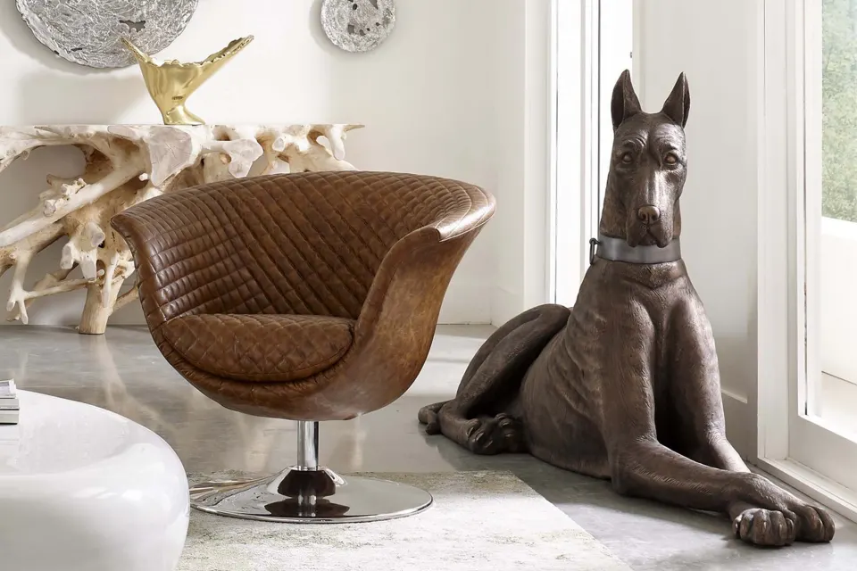 Great dane, image 8