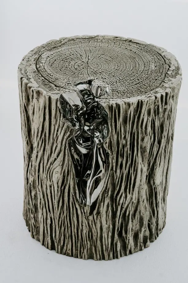 HD21878, image 3