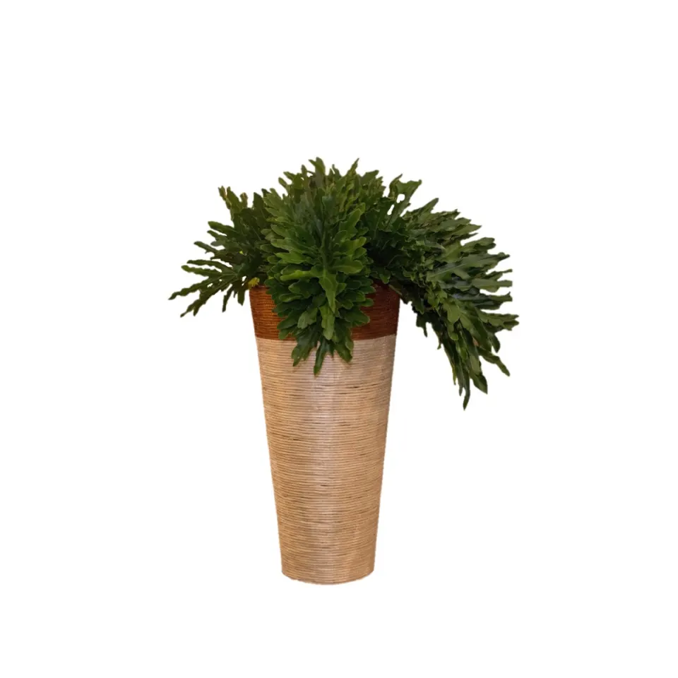Abaca Fully wired Planter