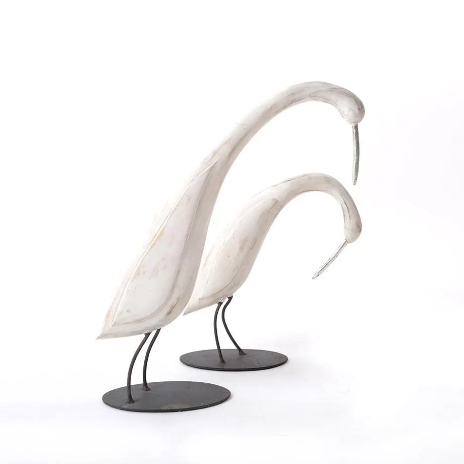 Shore birds, image 2
