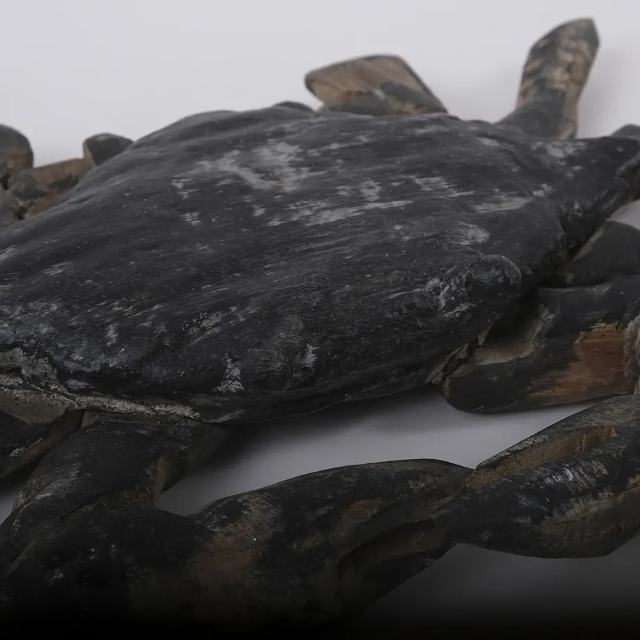 Black Crab, image 5