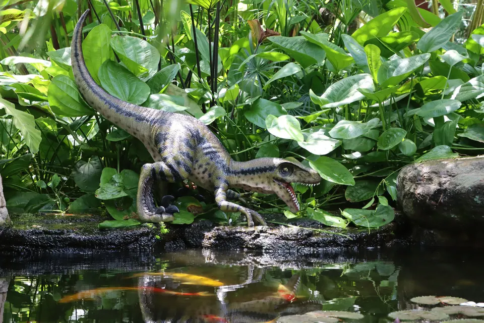 Velociraptors set of 3, image 4