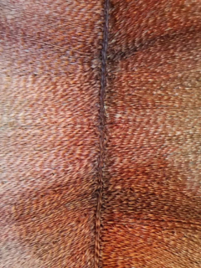 BE Rug , image 8