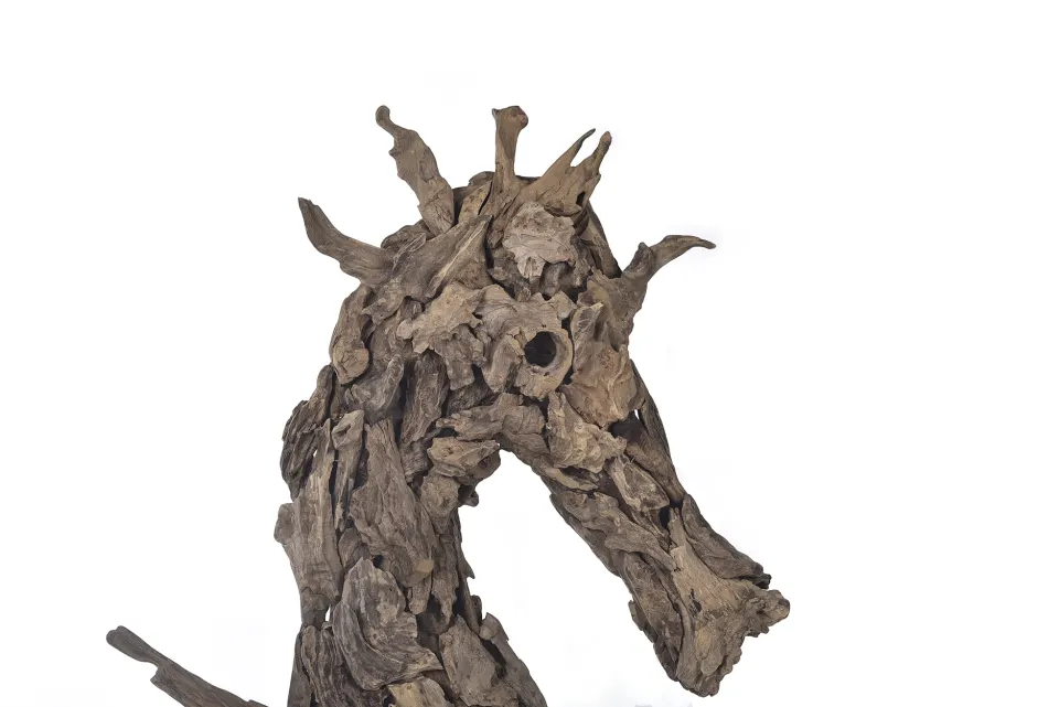 Driftwood Sea Horse, image 5