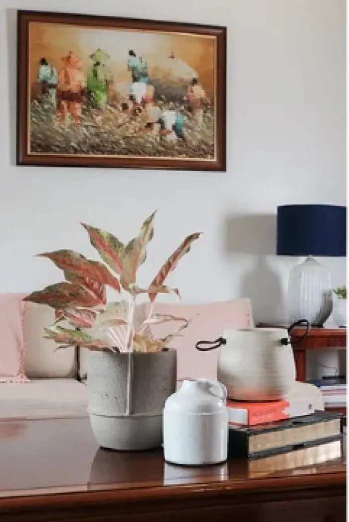 ACC Vase and Planter