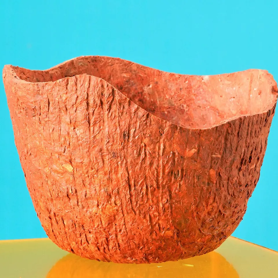 Wood Bark Paper Clay Bowl, image 1