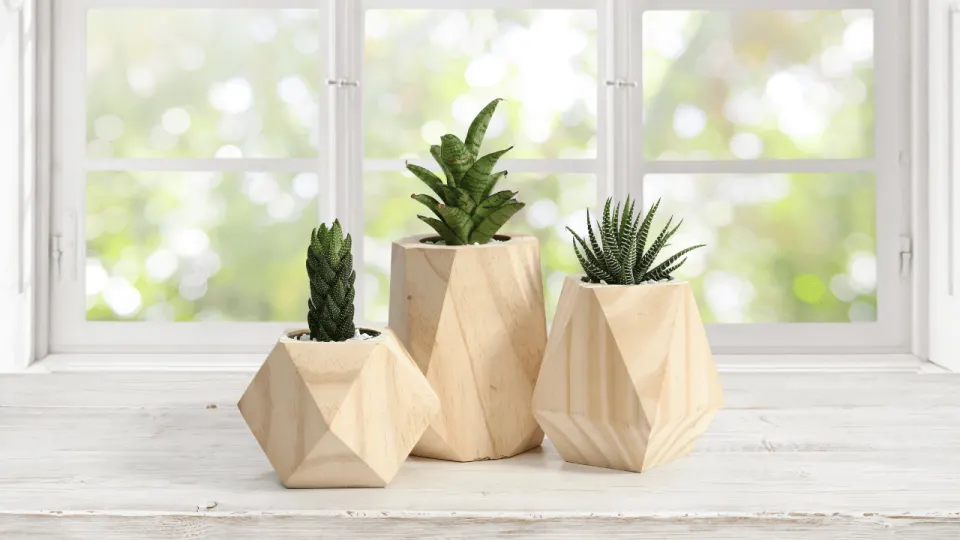 Geometric Wooden Planter