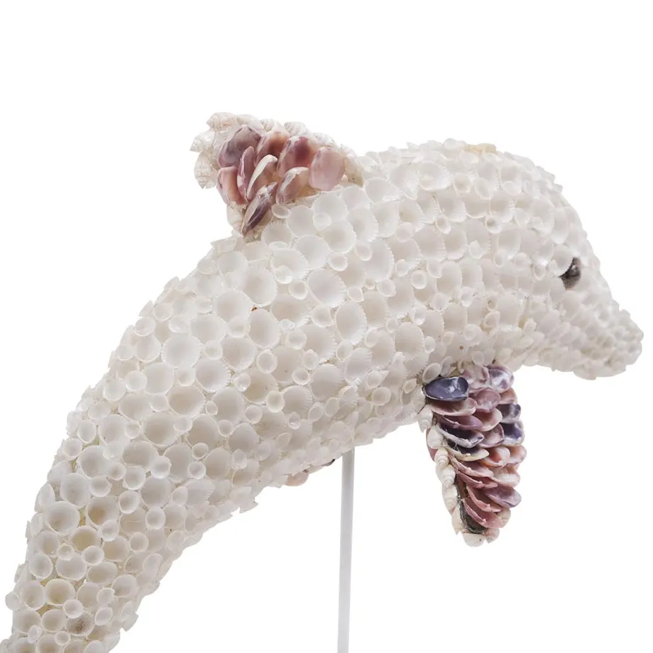  Shell statuesque dolphin, image 2