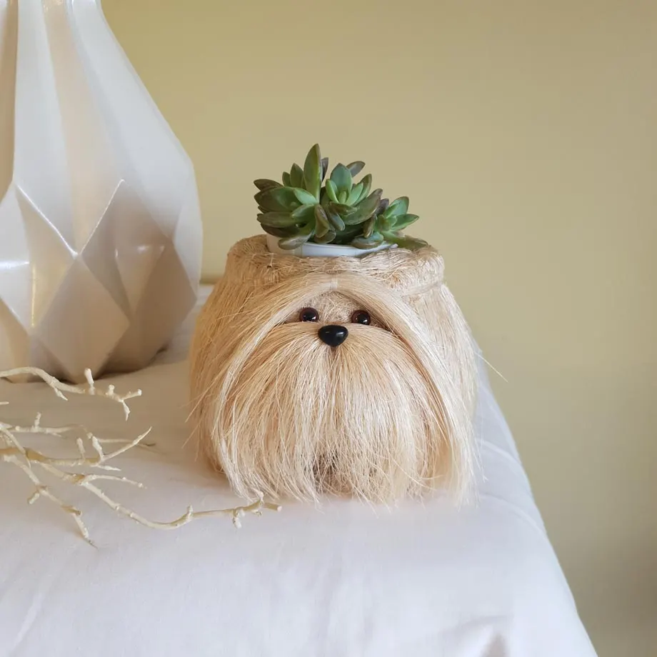 Chibi Shih tzu, image 4