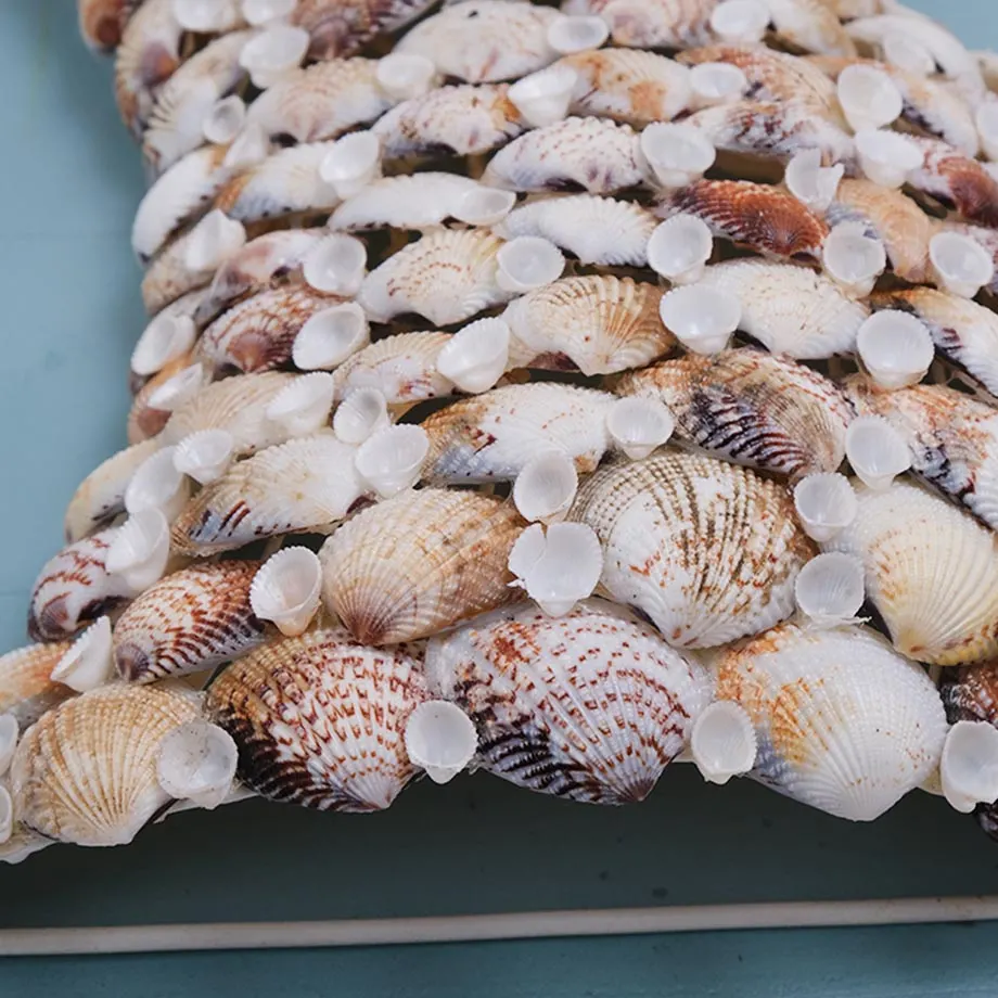  Wall art shell mermaid tail, image 3