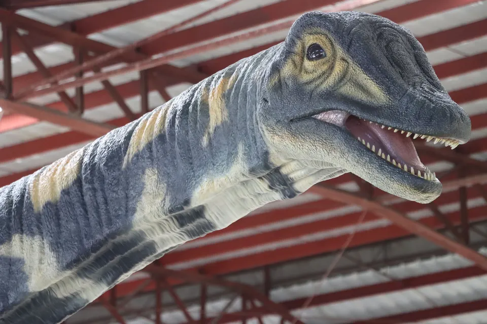 The Australotiton - Our Biggest Dino ever, image 4