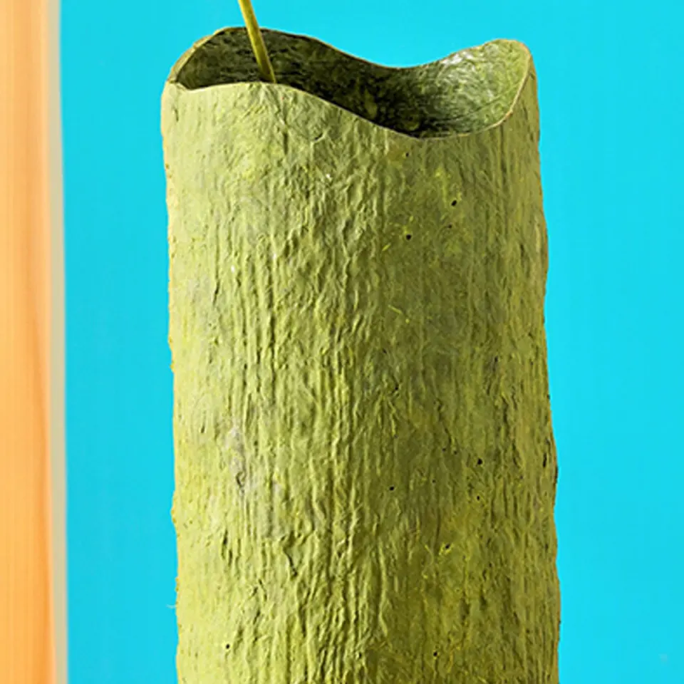 Wood Bark Paper Clay Vase, image 2