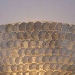 Clam Shape Wall Lamp, image 2