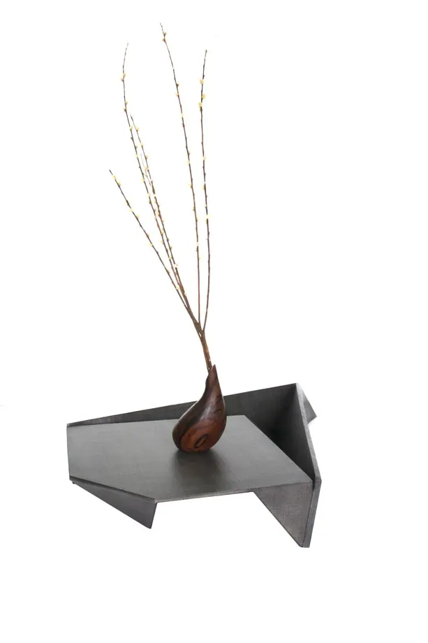 Rachis Coffee Table, image 1
