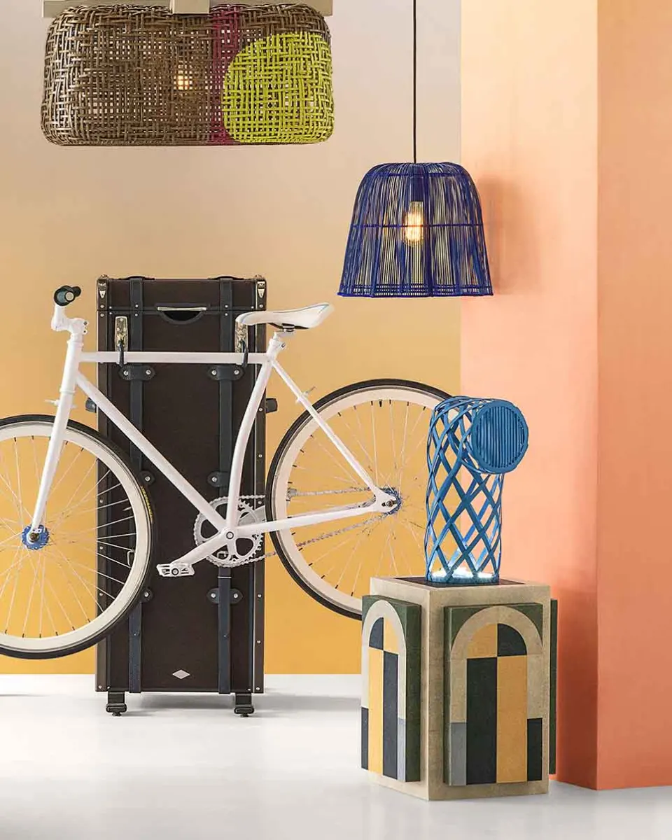  BICYCLETTE TRUNK, image 1