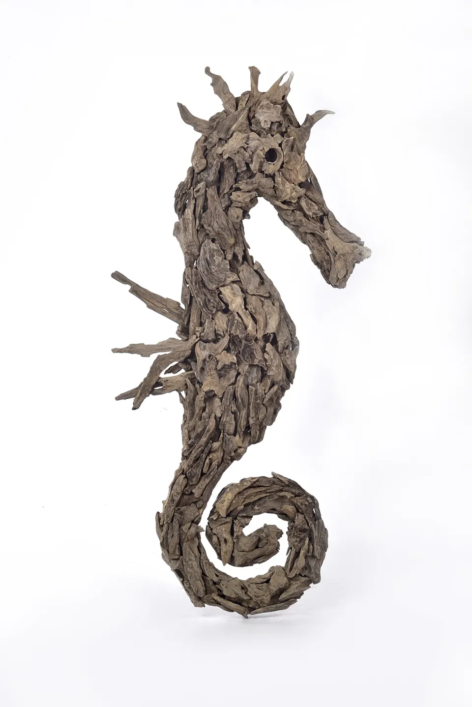 Driftwood Sea Horse, image 1