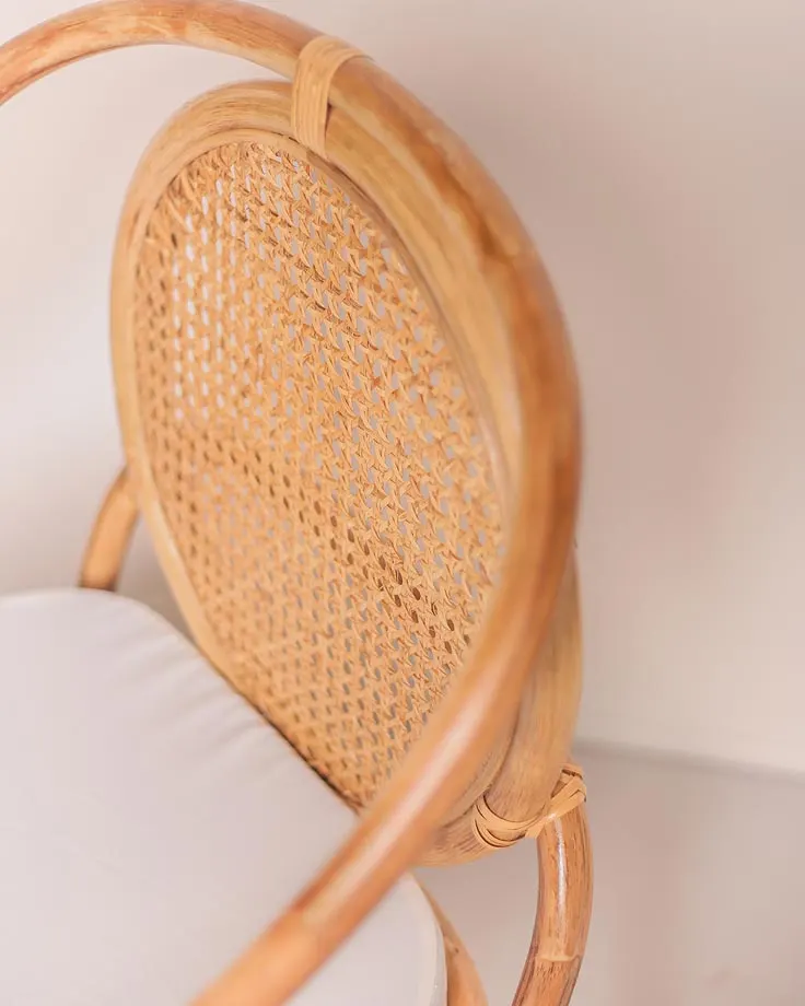 Petra Dining Chair, image 2