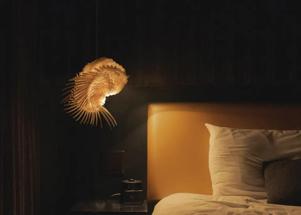 Kai’a Hanging lamp, image 1