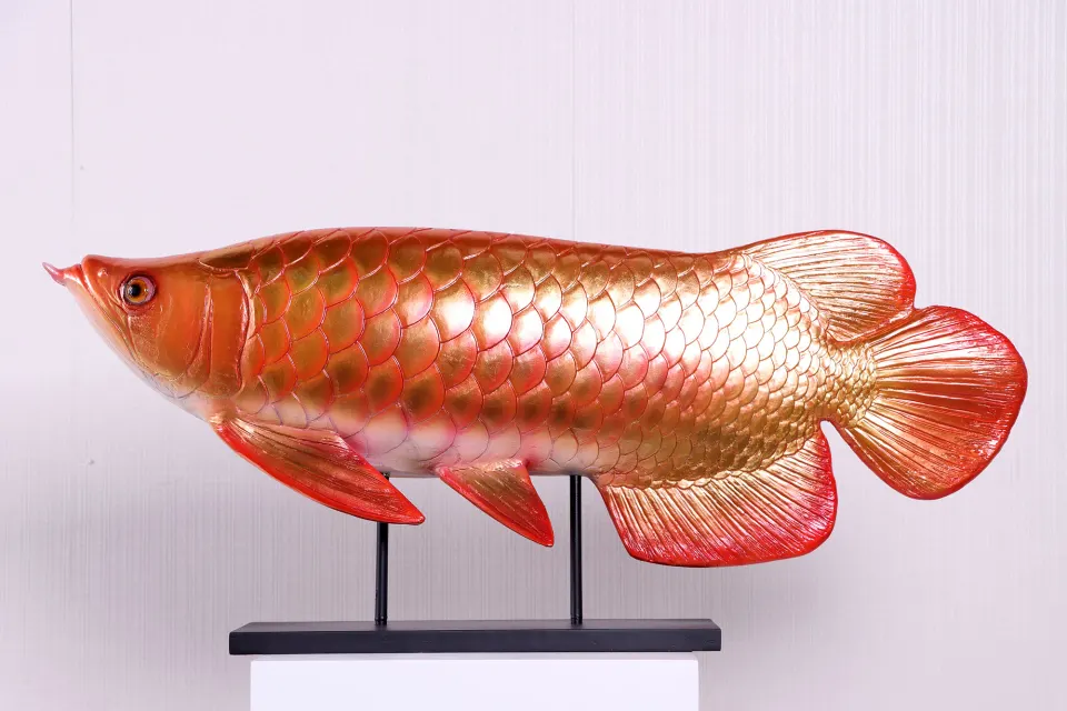 Arowana, image 2