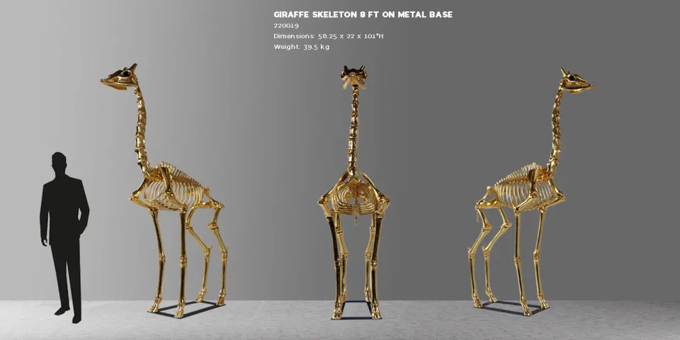 Giraffe skeleton 8ft goldleaf, image 3